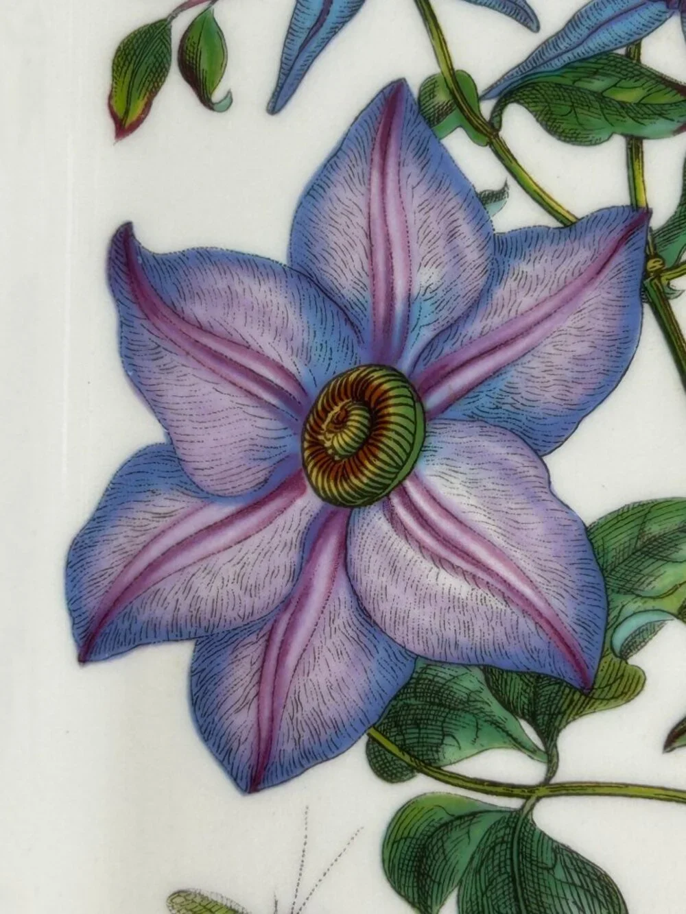 Portmeirion botanic garden
